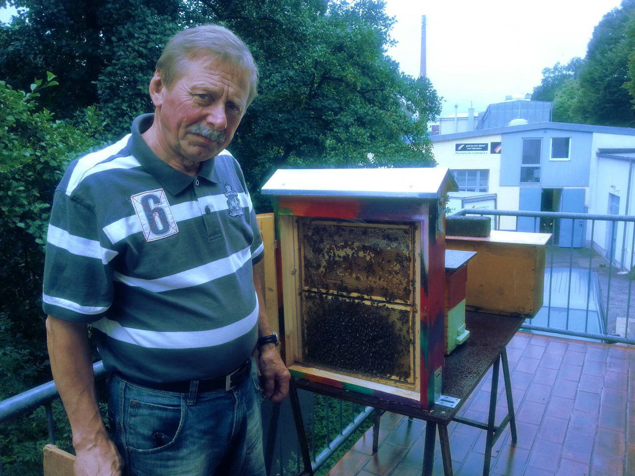 Ausstellung Honigbienen